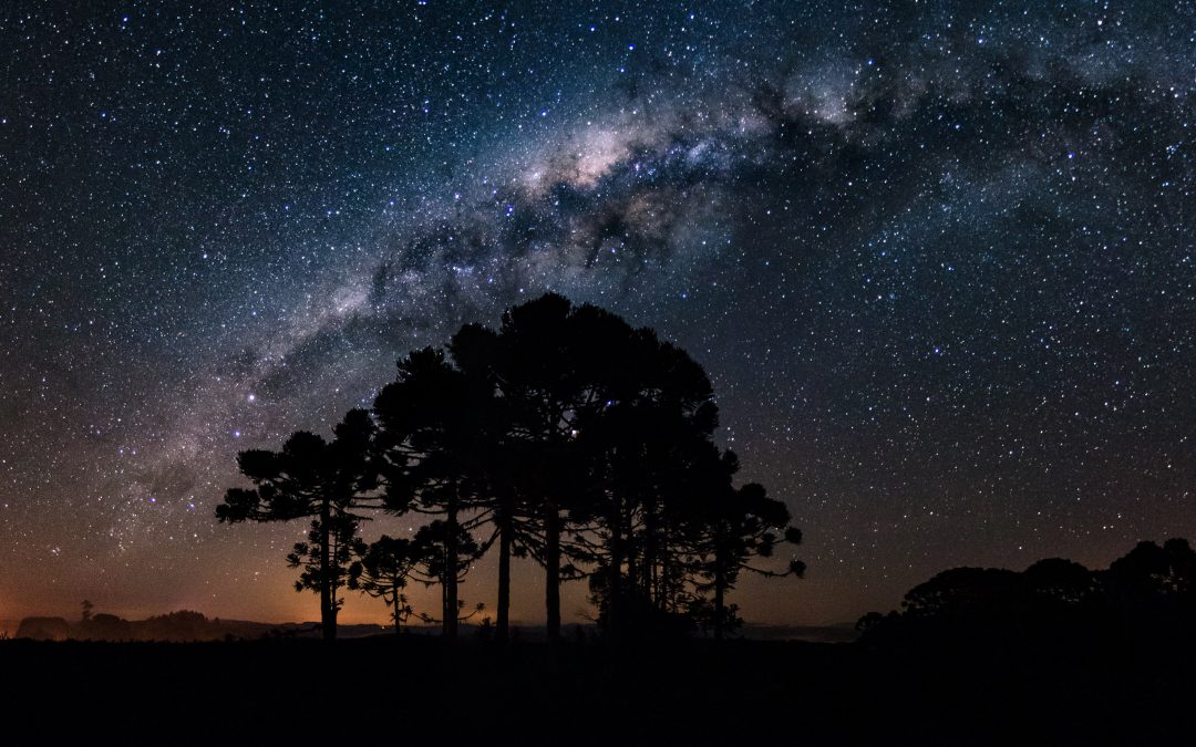 Viajando na noite escura